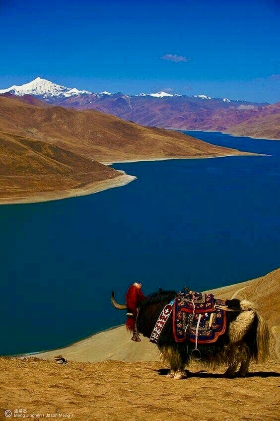 Top 10 des destinations spirituelles à vivre au moins une fois dans sa vie 2 IMG 8261 voyage spirituel