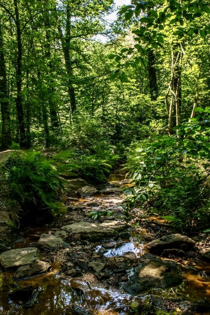 Top 10 des destinations spirituelles à vivre au moins une fois dans sa vie 8 IMG 8270 voyage spirituel