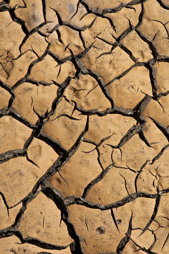 La nature comme guide spirituel : méditer au cœur des éléments 1 IMG 8358 voyage spirituel